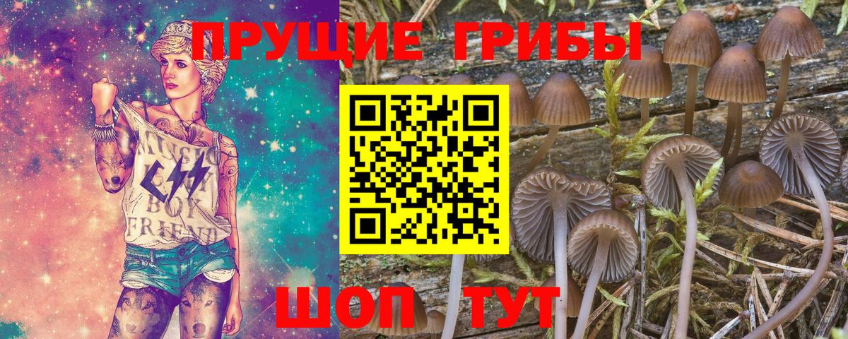 магазин продажи наркотиков  Вход с VPN  Рославль  Галлюциногенные грибы GOLDEN TEACHER 